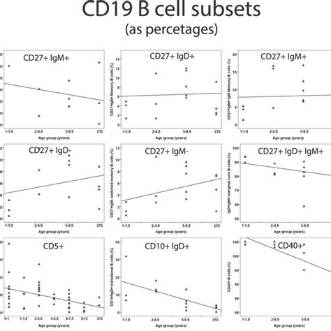 Image result for Examples of Linear Regression
