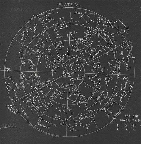 Image result for Equirectangular Constellation Chart