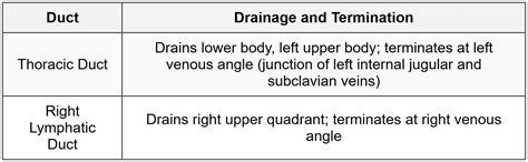 CheatSheet General Anatomy - Anatomy - NEET PG PDF Download