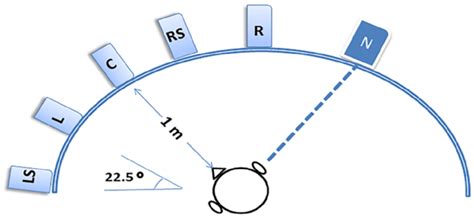 Image result for Sound Direction Test