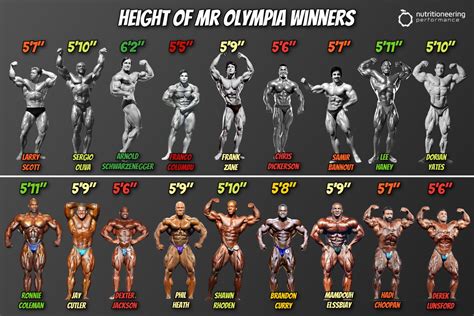 Best 13 Study Reveals Average Bodybuilder Height Since 1965 – Artofit