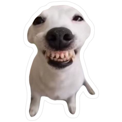 "laughing smiling dog meme" Sticker for Sale by misscouchpotato in 2025 ...