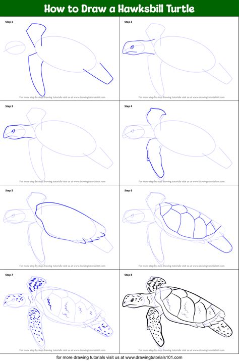Image result for How to Draw a Turtle Step by Step Easy
