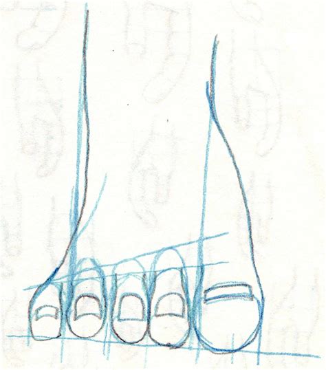 Image result for Front View of Toe