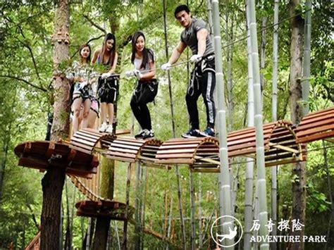 丛林游乐设施新星——丛林探险-郑州有趣游乐设备有限公司