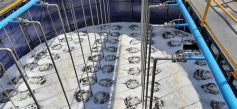 Aeration Diffusers - 5(m3/h) Retrievable Aeration System Trader ...