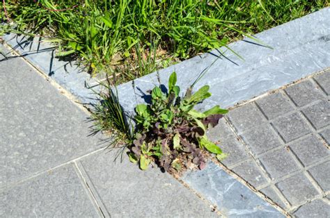 Image result for TMI Mod Tutorial