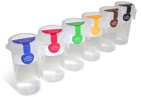 Goraksh Techno Solutions