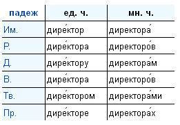 Директоры или директора – как правильно? | Правописание