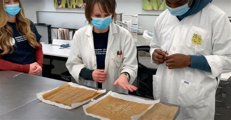 Image result for Seed Testing Lab