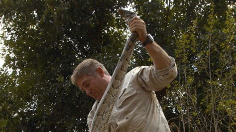 Image result for Python Attack Cat