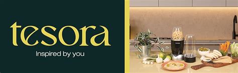 Buy Tesora - Inspired By You Nutri-Flash Mixer, Grinder & Blender ...