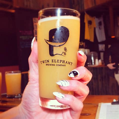 Classic Logo Glass – Twin Elephant Brewing Company