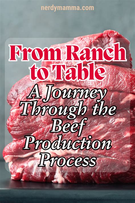 Image result for Beef Processing Process