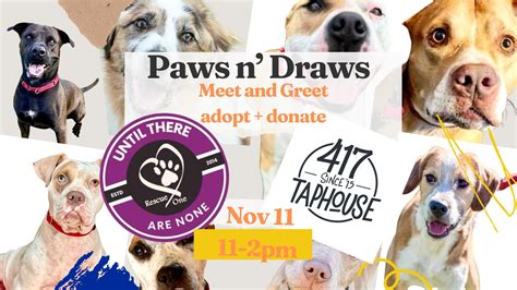 Rescue One + 417 Taphouse Adoption Event - It's All Downtown | It's All ...