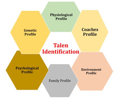 Image result for Talent Identification and Development Process