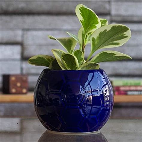 UGAOO Football Ceramic Pot (Blue) : Amazon.in: Garden & Outdoors