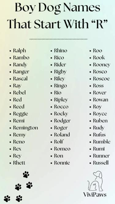 Top 50 Boy Dog Names Starting With R | Unique Boy Dog Names That Start ...