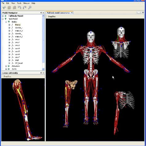Open Source Simulations 的图像结果