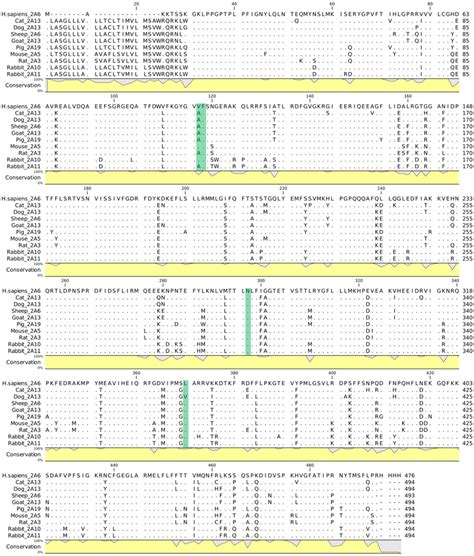 A Computational Inter-Species Study on Safrole Phase I Metabolism ...