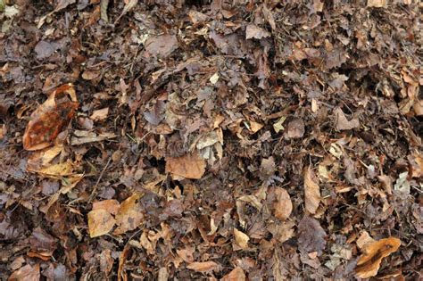 Image result for Single Source Shortest Path Algorithm Difference
