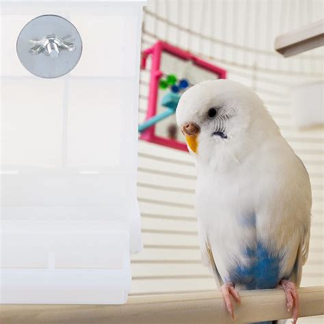 Buy ULTECHNOVO Automatic Bird Feeder, 2Pcs Bird Feeding Container Bird ...