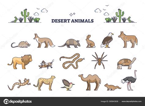 Drawing Of Animals That Live In The Desert at Robert Huang blog