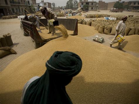 Farmers Protests & Clash with Police Over Procurement Policy in Pakistan