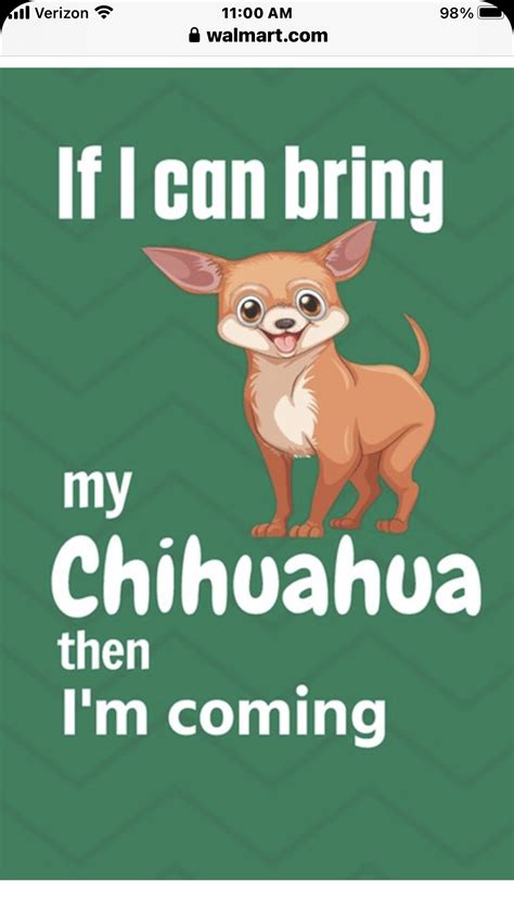 26 more funny chihuahua memes – Artofit