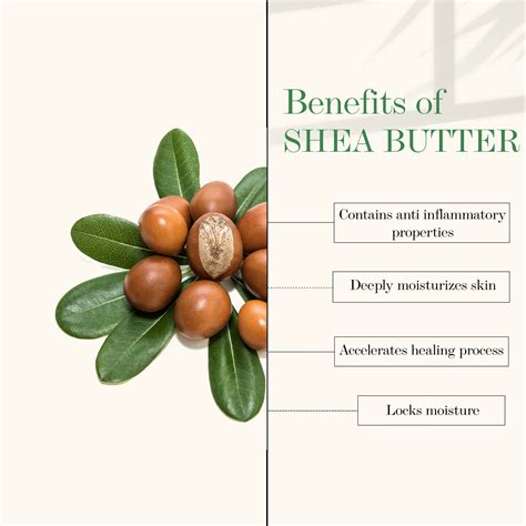 Plus Shea Butter + Aloe Vera Nourishing + Soothing Night Cream – Good Vibes