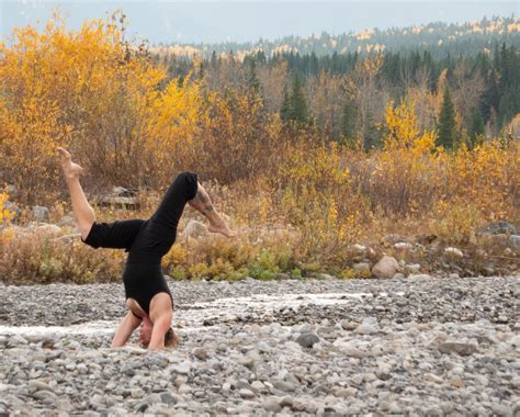 Symmetry & Asymmetry , 821 14th Street NW, Calgary AB T2N 2A4, 25 ...