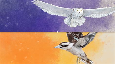 Wingspan: European Expansion + Oceania Expansion PS4 & PS5