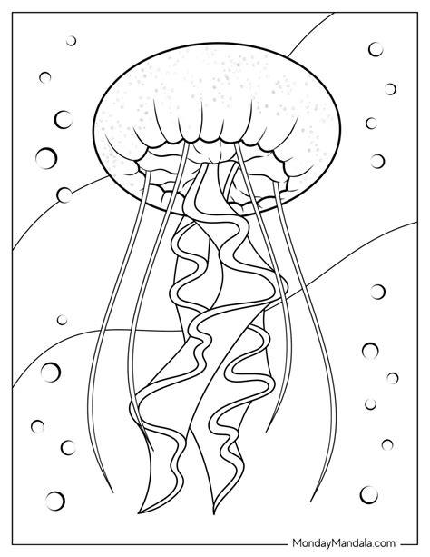22 Jellyfish Coloring Pages (Free PDF Printables)