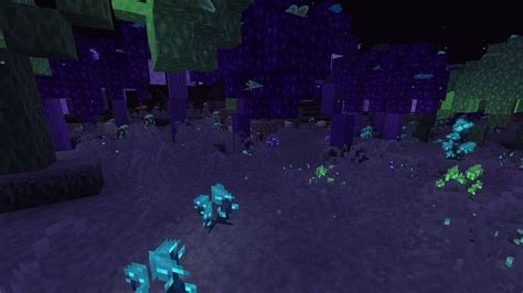 Image result for How to Get Midnight Pack On Java