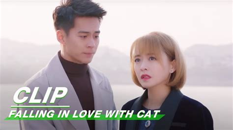 Clip: Lu Wu Askes Song Zi To Marry Him | Falling In Love With Cat ...