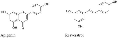 Anticancer and Antioxidant Activities in Ganoderma lucidum Wild ...