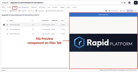 Image result for File Preview Function
