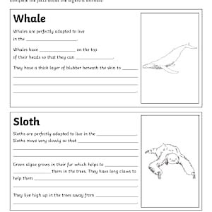 Animal Adaptations Research Fact Writing Worksheet for 3rd-5th Grade