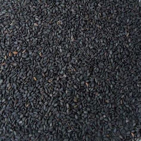 Black Sesame Seeds Manufacturers and Suppliers from Pune