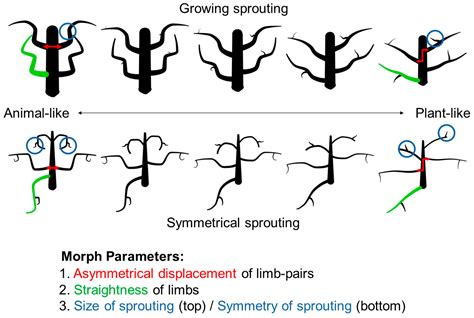 Superordinate Categorization Based on the Perceptual Organization of Parts