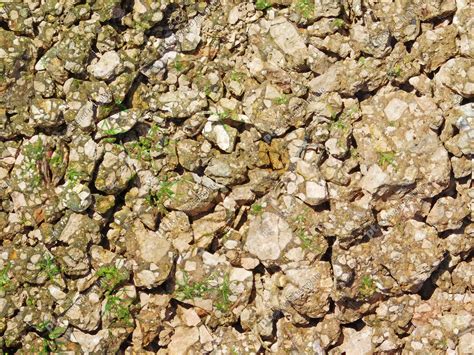 Ground Textrue Map 的图像结果