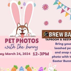 Pet Photos with the bunny at the Brew Barn!, 455 Highland Avenue ...
