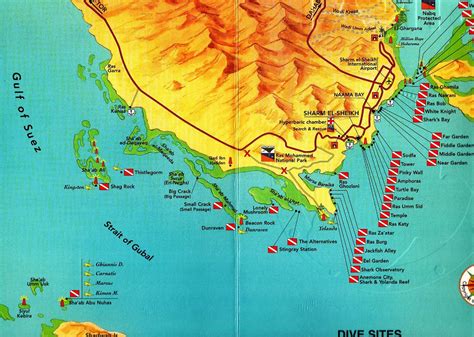 MILLENNIUM DIVERS SHARM (2026) All You Need to Know BEFORE You Go (with ...