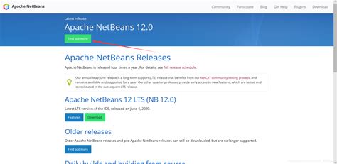 For En NetBeans 的图像结果