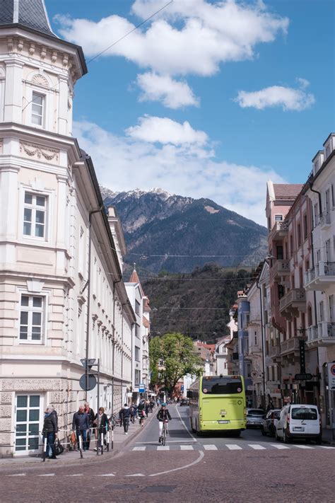 Traffic 的图像结果