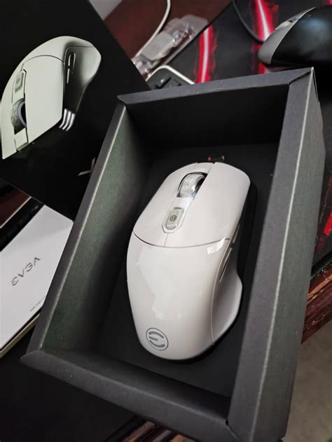 EVGA X12 Gaming Mouse, 8k, Wired, White, India | Ubuy