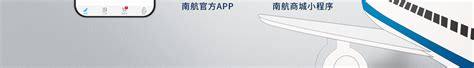 中国南方航空公司_word文档在线阅读与下载_无忧文档
