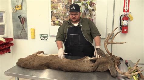 How To Skin A Deer For Tanning at Jessie Ramirez blog