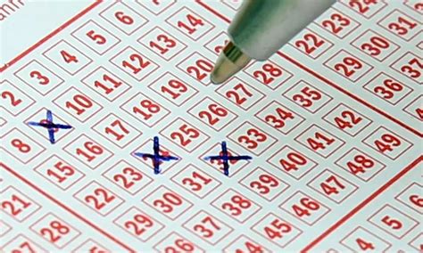 Pondy bizman wins Rs 20 cr bumper lottery in Kerala