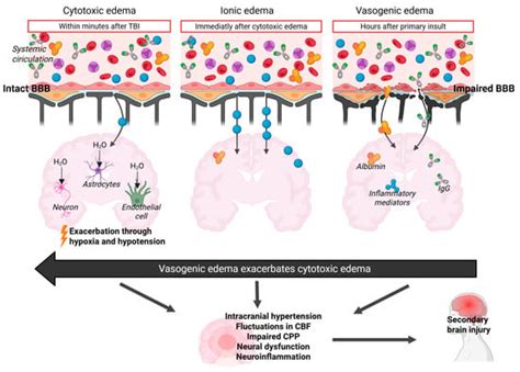 A Comprehensive Review of Fluid Resuscitation Strategies in Traumatic ...